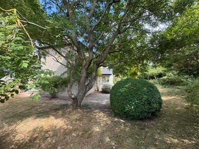 Picture 25